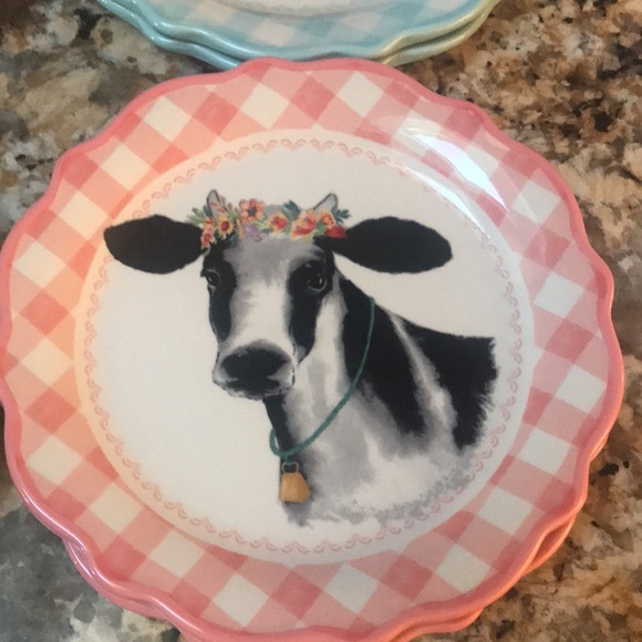 Pioneer Woman Desert/Appetizer plates-NWT - Picture 5 of 5